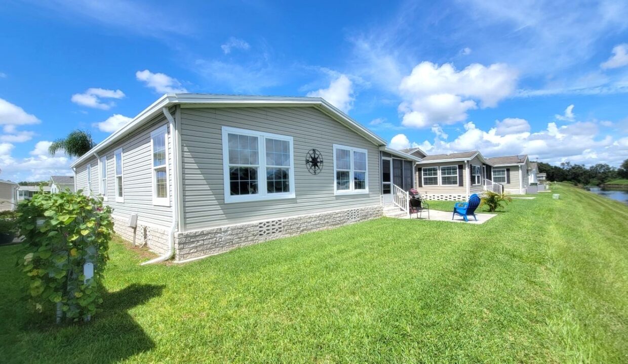 220 Monterey Cypress - sp31