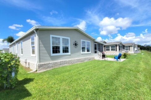 220 Monterey Cypress - sp31