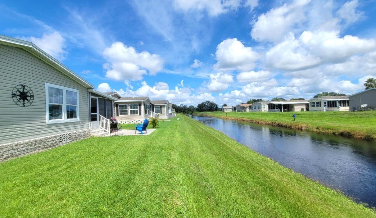 220 Monterey Cypress - sp32