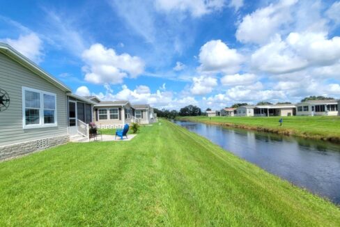 220 Monterey Cypress - sp32