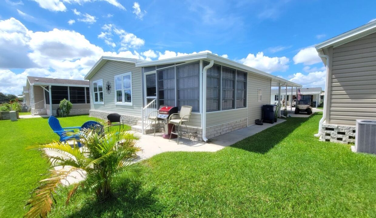 220 Monterey Cypress - sp33