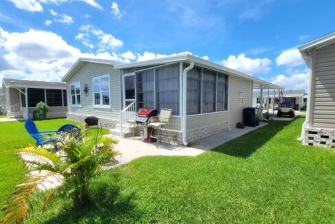 220 Monterey Cypress - sp33