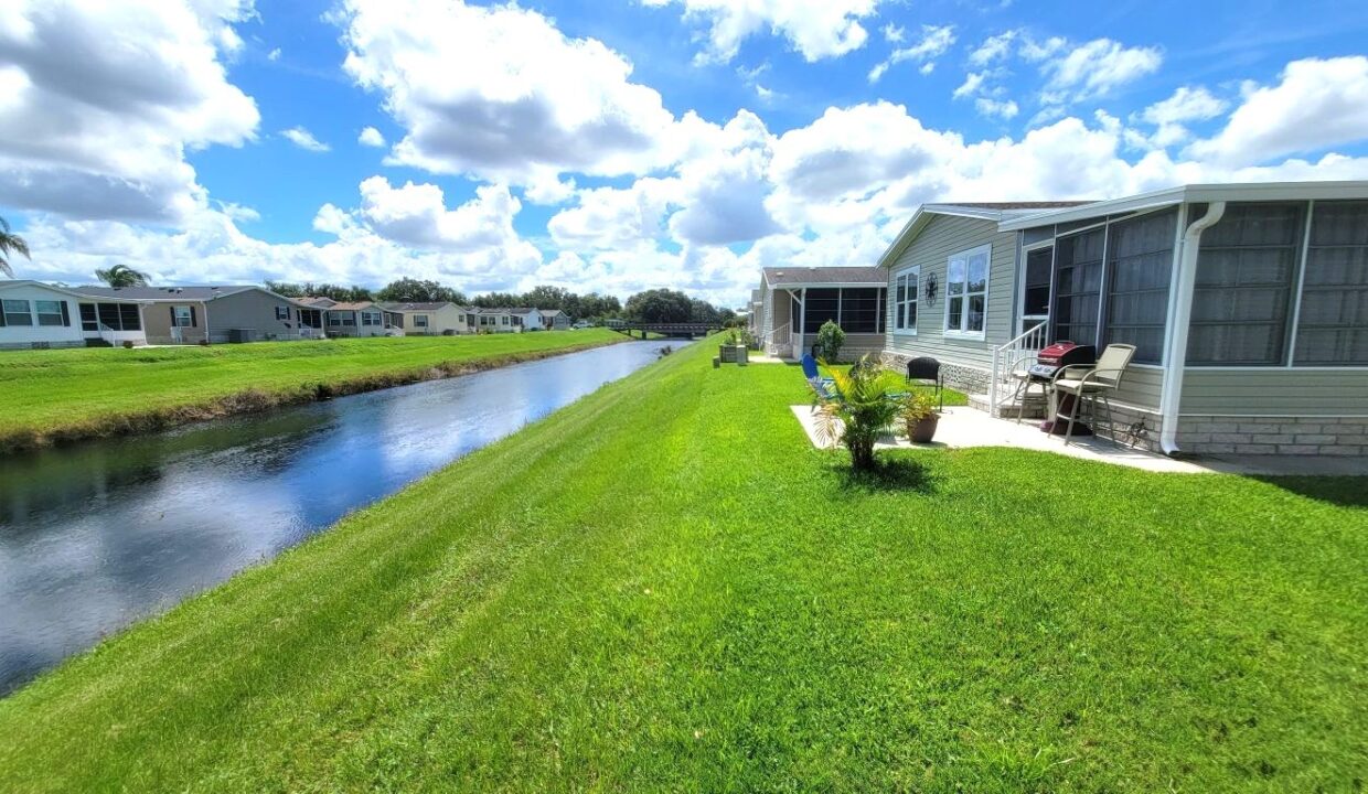 220 Monterey Cypress - sp34