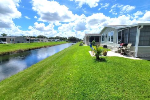 220 Monterey Cypress - sp34