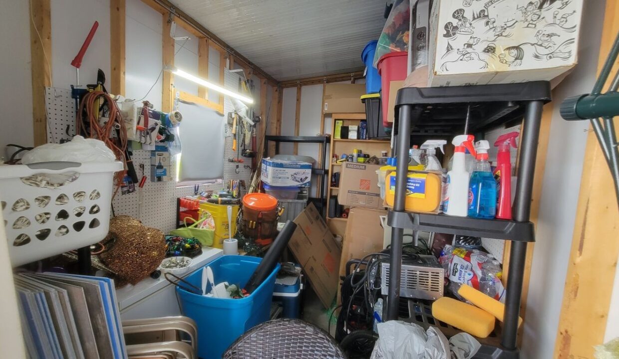 220 Monterey Cypress - sp35