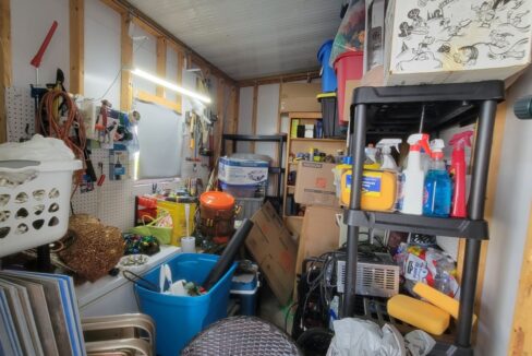 220 Monterey Cypress - sp35