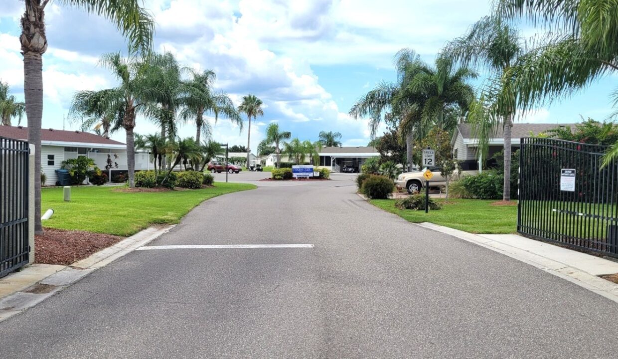 220 Monterey Cypress - sp36