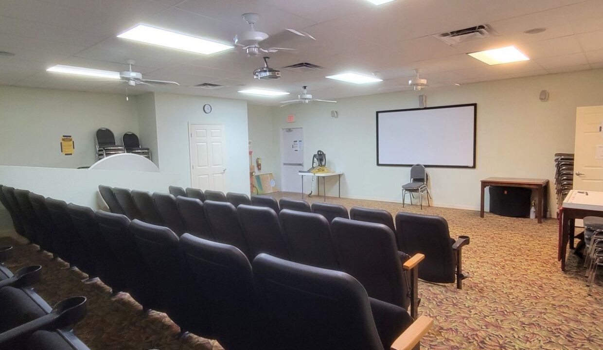 220 Monterey Cypress - sp41