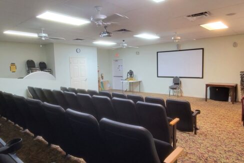 220 Monterey Cypress - sp41