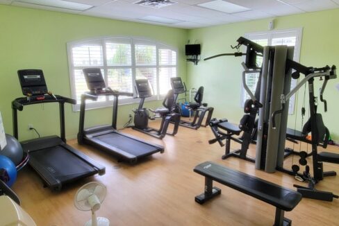 220 Monterey Cypress - sp42