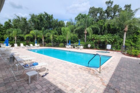 220 Monterey Cypress - sp43