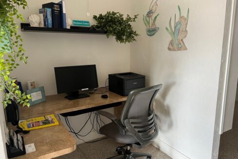 1919 Buccaneer - sp15