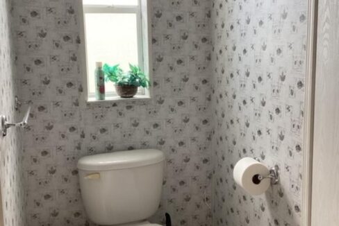 1919 Buccaneer - sp19