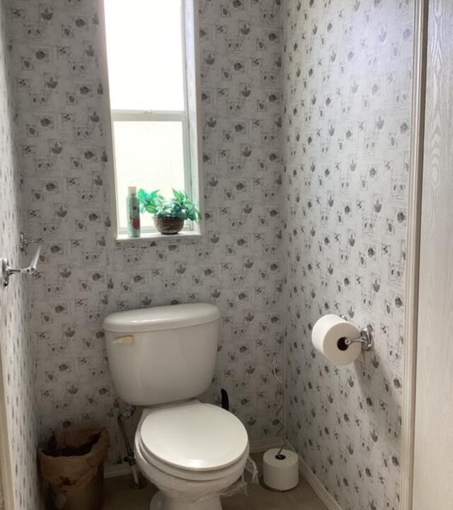 1919 Buccaneer - sp19