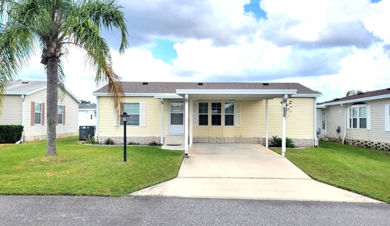 608 Yellow Cypress - sp01