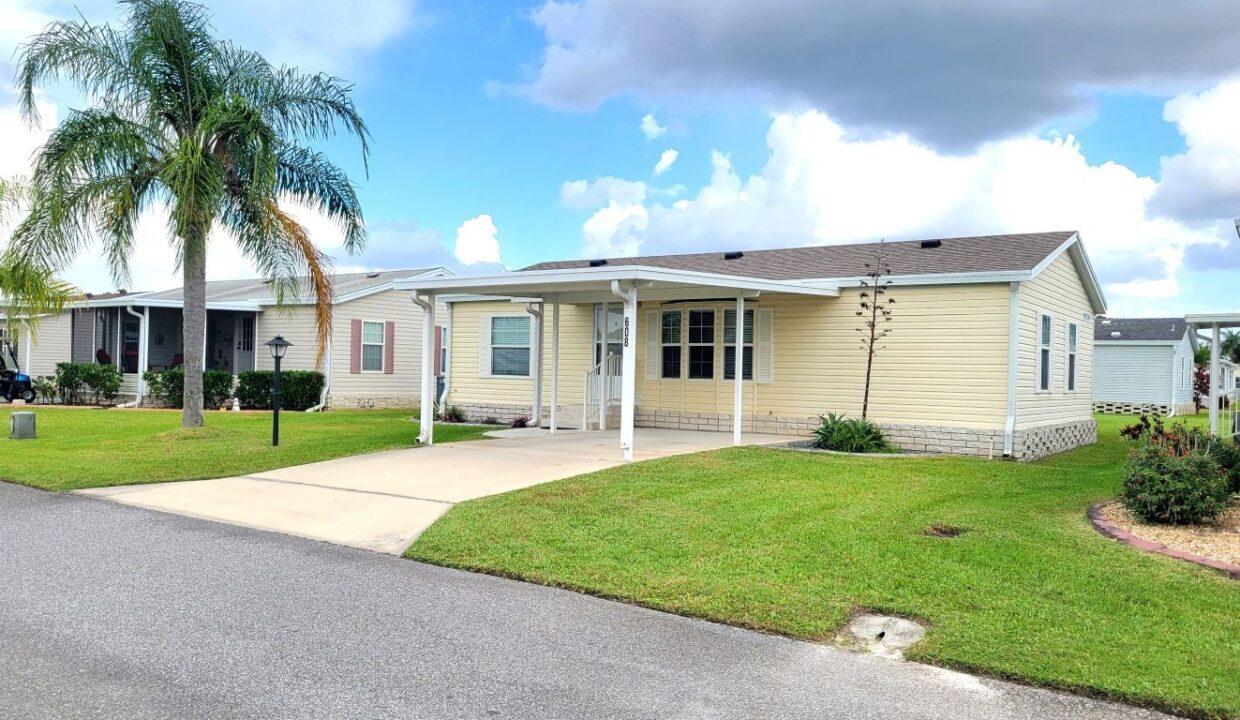 608 Yellow Cypress - sp02