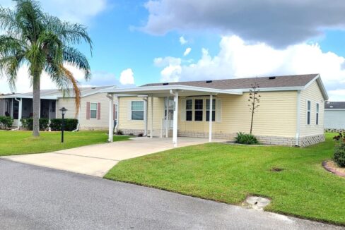 608 Yellow Cypress - sp02