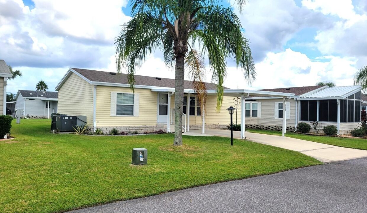 608 Yellow Cypress - sp04