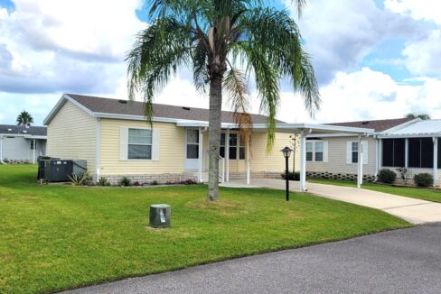 608 Yellow Cypress - sp04