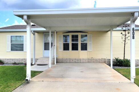 608 Yellow Cypress - sp05