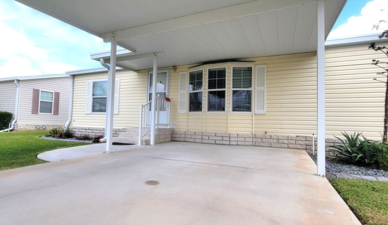 608 Yellow Cypress - sp06