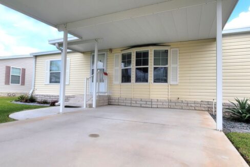 608 Yellow Cypress - sp06