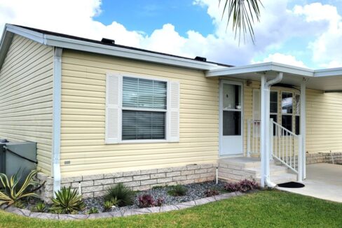 608 Yellow Cypress - sp07