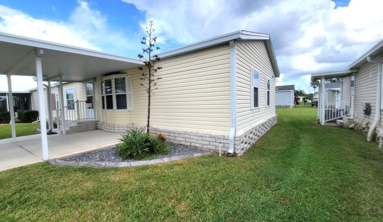 608 Yellow Cypress - sp09