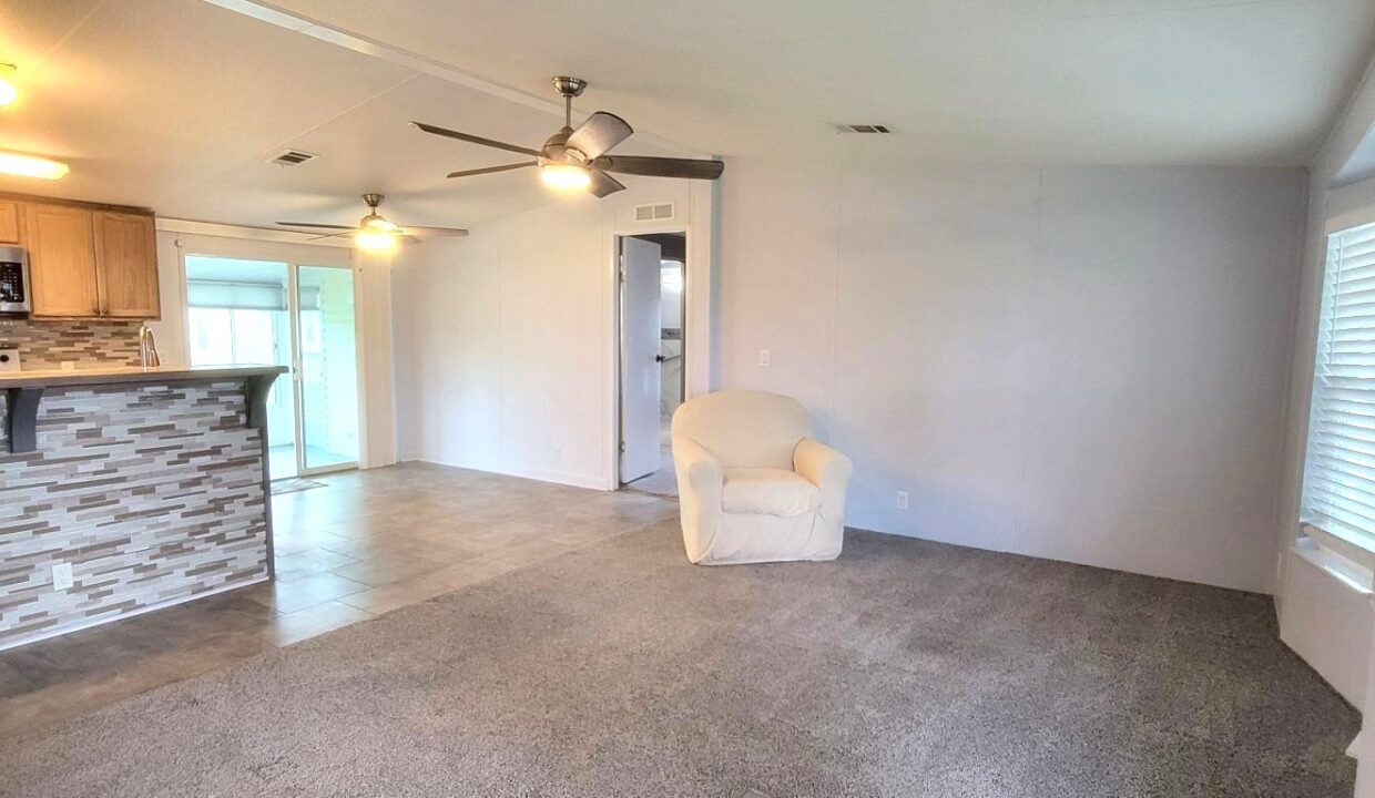 608 Yellow Cypress - sp11