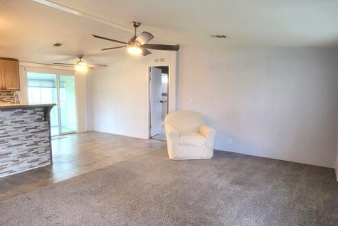 608 Yellow Cypress - sp11