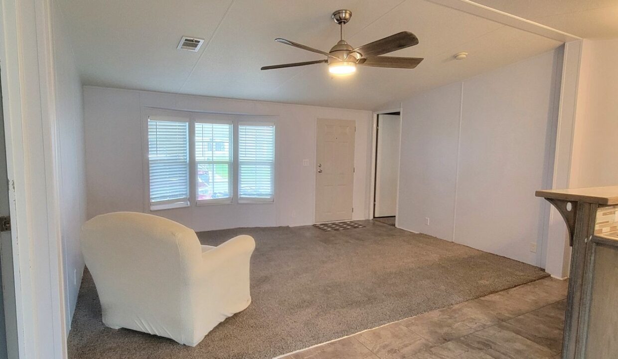 608 Yellow Cypress - sp13