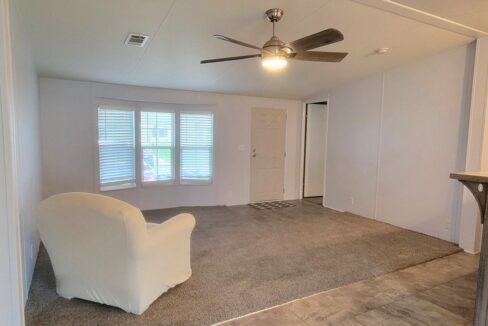 608 Yellow Cypress - sp13