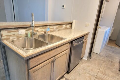 608 Yellow Cypress - sp19