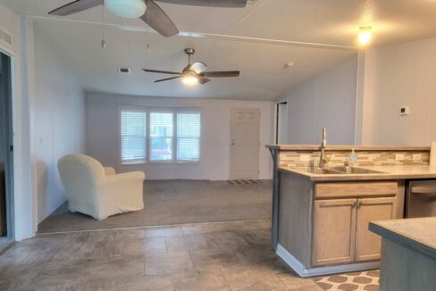 608 Yellow Cypress - sp20