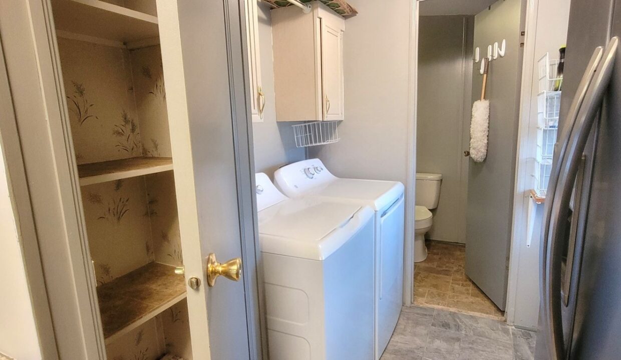 608 Yellow Cypress - sp21