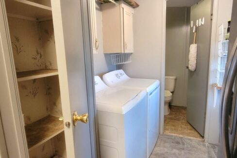 608 Yellow Cypress - sp21