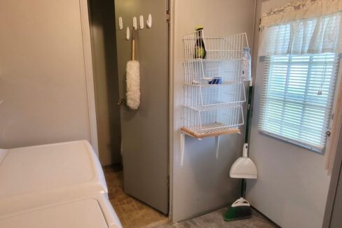 608 Yellow Cypress - sp22