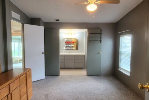 608 Yellow Cypress - sp24