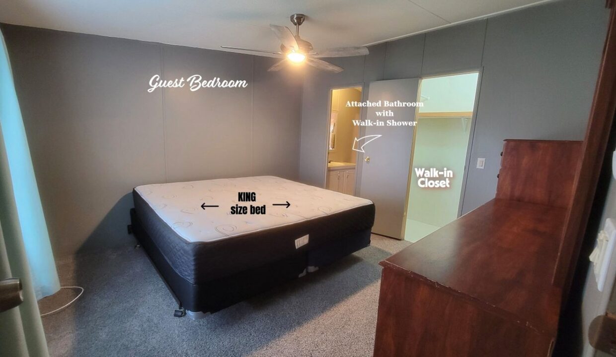 608 Yellow Cypress - sp28