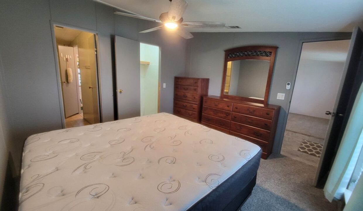 608 Yellow Cypress - sp29