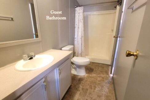 608 Yellow Cypress - sp30