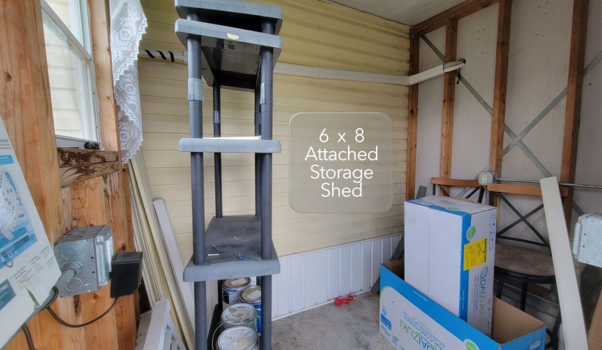 608 Yellow Cypress - sp34