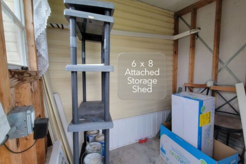 608 Yellow Cypress - sp34