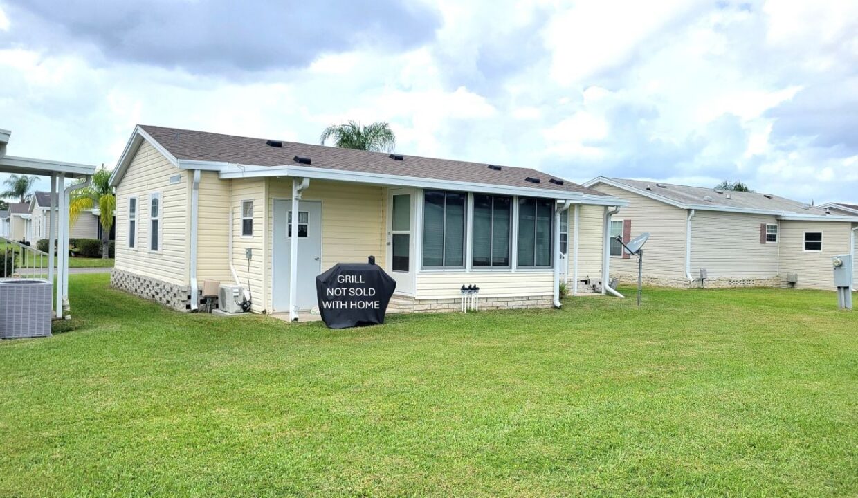 608 Yellow Cypress - sp35