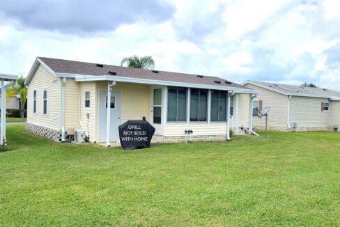 608 Yellow Cypress - sp35