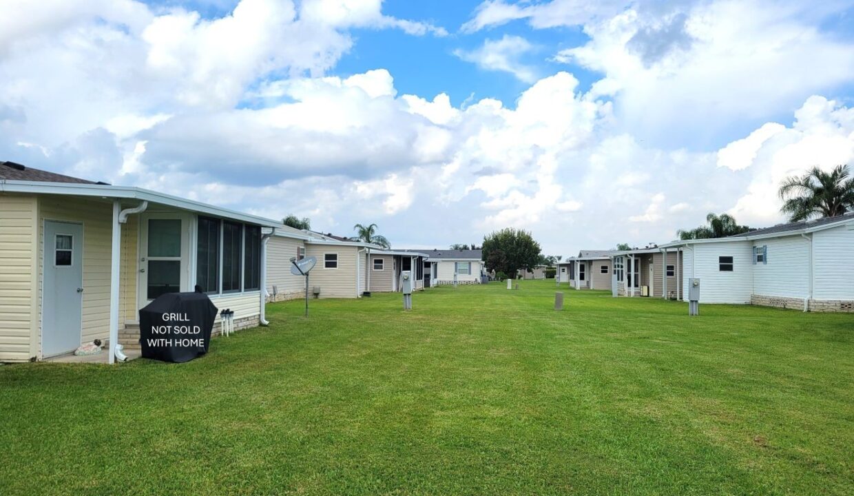 608 Yellow Cypress - sp36