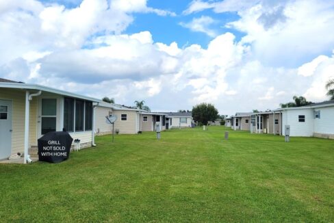 608 Yellow Cypress - sp36