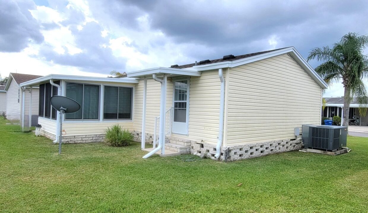 608 Yellow Cypress - sp38