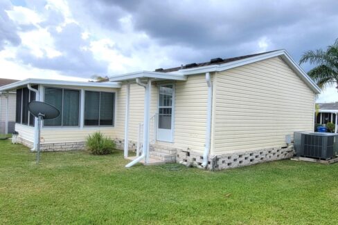 608 Yellow Cypress - sp38