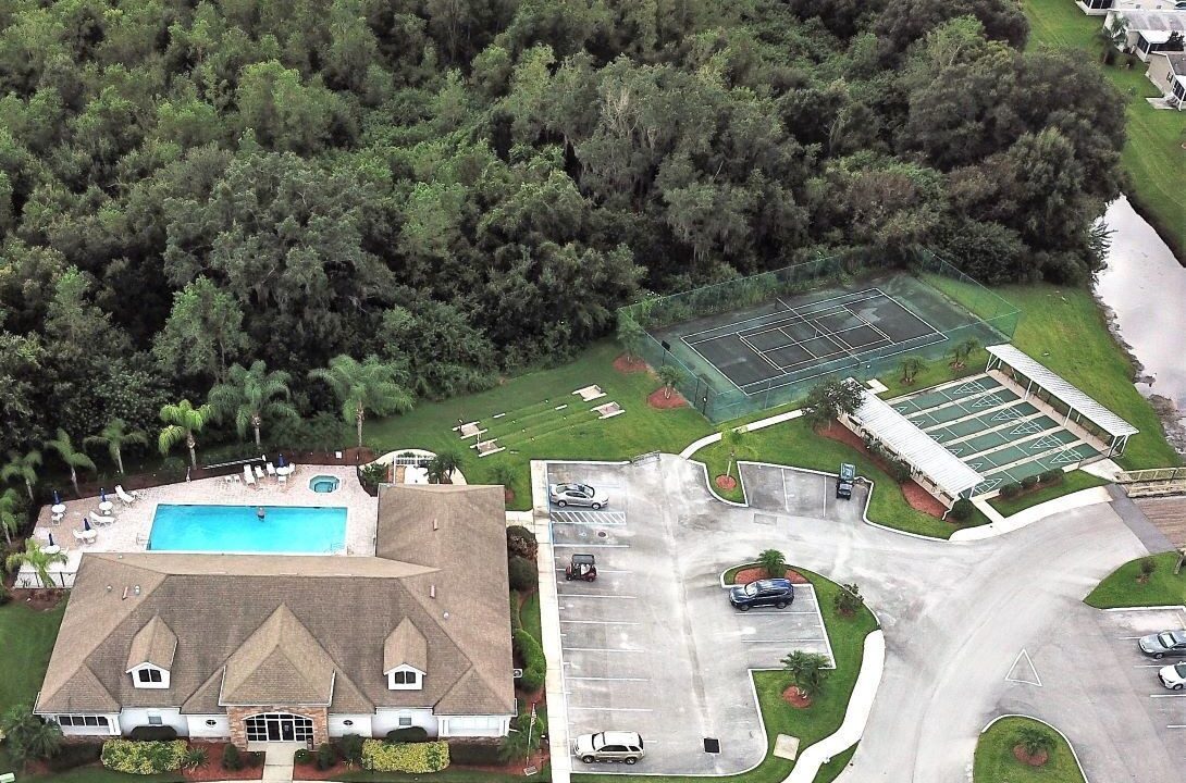 608 Yellow Cypress - sp41